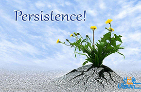 你坚持了什么，又放弃了什么？