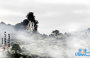 廖廖十字，参悟一生!