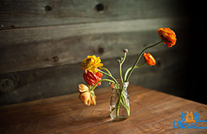 你必须承受住成功之前的寂寞