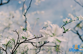 一点，就是一点，何必多求