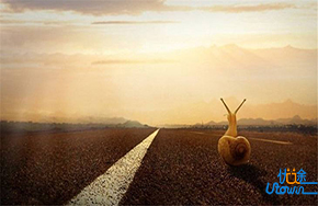 成长，长成你不喜欢的模样