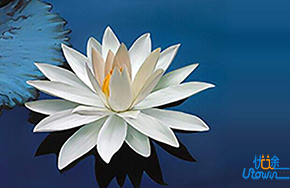 待人处世不要怕丢面子