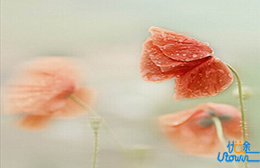 所谓修行，就是先要把人做好