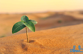 成功，在困境与压力中诞生