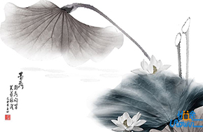 把握每一天，享受每一天