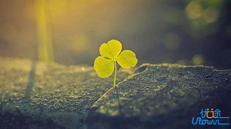 人生好心态，快乐春常在