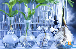 生物科学：学这个专业还有出路吗？