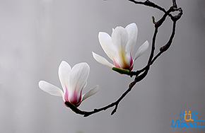 激励自己奋斗。永不气馁