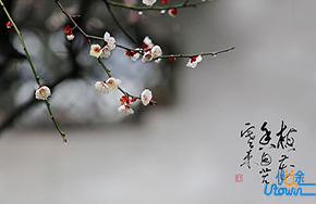 再磨一剑，剑指清华