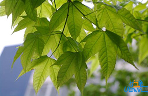 青春的足迹，成长的足迹