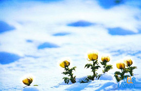 人生，只有摆平自己，才能摆平生活!