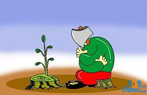 一棵竹子的耐心