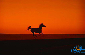 你的人生一定马不停蹄