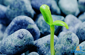 《信念》：信念的力量