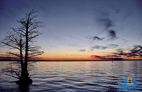 记叙文想要写的“出彩”，这15个技巧你必须掌握！