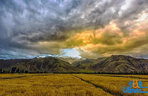 致亲爱的高中生：自己都不努力，有什么理由去埋怨？