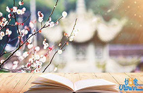 高考复习，语文用刷题模式靠谱吗？