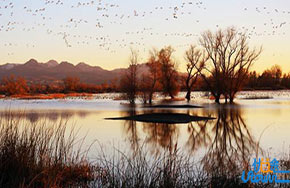 深入到文综选择题的内部，希望能拿满分