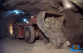 冷门专业傍上国家照顾大腿，考研大降分，你愿报吗？