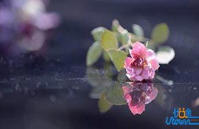 七年级思想品德上册第三单元 第七课 品味生活