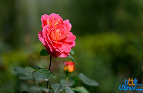 病句题不丢分，就靠这23看(上)