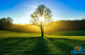 初三期中考调整好心理才能取得高分