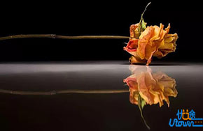 高中生要不要参加自主招生？看完再决定