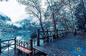 高中数学各类问题答题技巧与方法