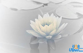 “语文为王”的时代已然开启！提高语文成绩的32种方法！