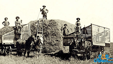 高考历史如何提高选择题得分率？