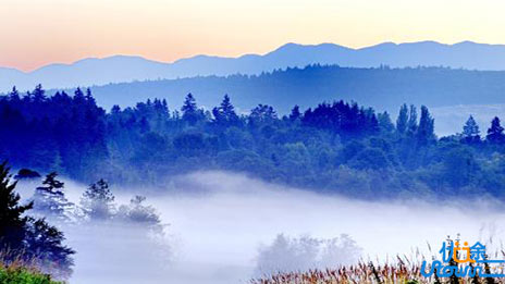 掌握自主招生面试出题9大套路，什么奇葩考题都难不倒你！