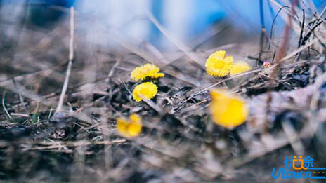 历史图示记忆法帮你快速记忆历史知识