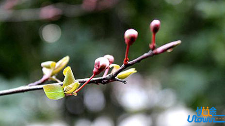 自荐信常见5大问题是哪些？