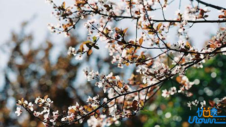 文言文怎么复习才高效？这几点务必做到！