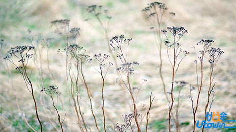 高考英语：书面表达如何短期突破高分？