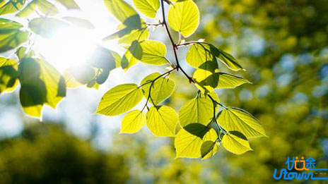 史上最全自主招生报考条件及各高校对竞赛成绩要求汇总送你！