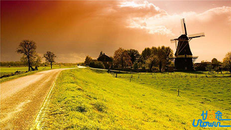 “4×2”复习法能把你的语文推向140分！