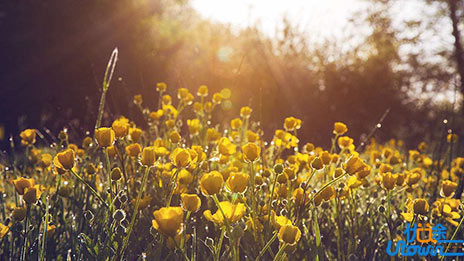 一个人没出息源于这九大原因！2018年你需要改变的就是这些！