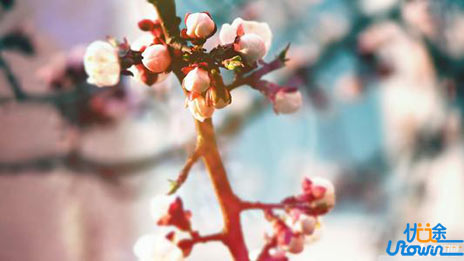 学霸经验速速借鉴，文综250+的答题技巧