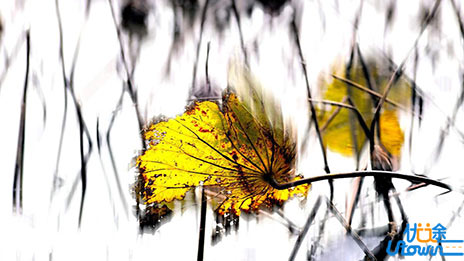 高中历史主观题中常用语言的妙用！