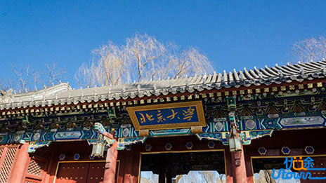  一位复读生的抗争：我要上北大！