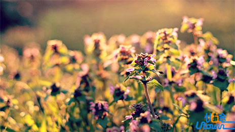 多方位理解性记忆法，让历史记忆不再那么难！