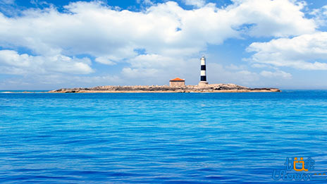 莫言：面向大海，不问春暖花开