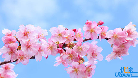 高考语文重点题型答题大致套路分享