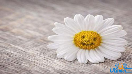 改善高中数学做题慢的N个技巧