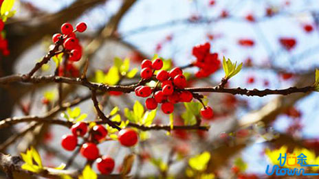 2018高考英语6大题型突破有技巧，高效二轮复习必看！