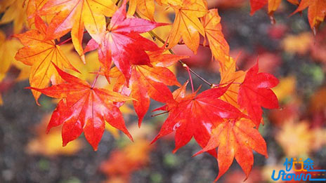 英语阅读套路深，教你四种阅读理解的解题神技巧