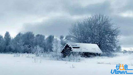 高考语文——图文转换高分技巧