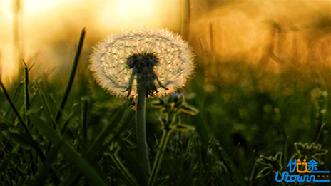 我就不合群了，你们去堕落吧!