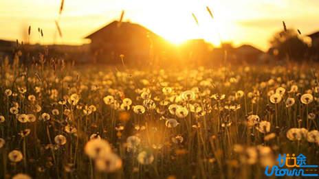 发掘更好的自己，才能遇见最好的别人